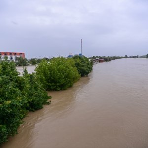 Sava u Zagrebu