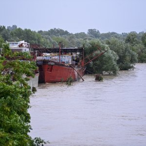 Sava u Zagrebu