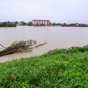 Sava u Zagrebu