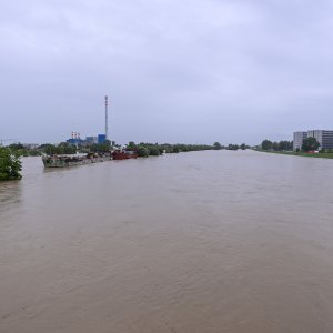 Sava u Zagrebu