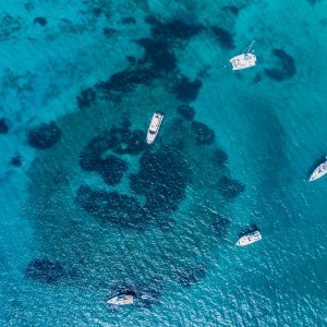 Drevna cesta kod Korčule