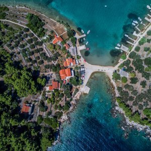 Drevna cesta kod Korčule