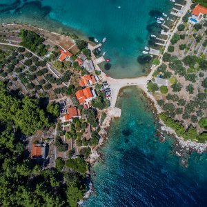 Drevna cesta kod Korčule