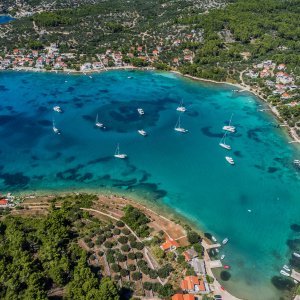 Drevna cesta kod Korčule