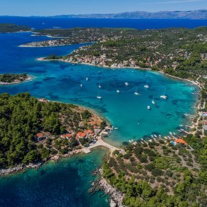 Drevna cesta kod Korčule