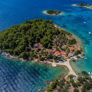 Drevna cesta kod Korčule