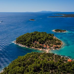 Drevna cesta kod Korčule