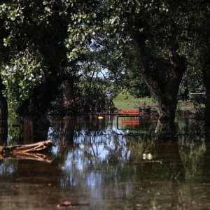 Poplava na Jarunu