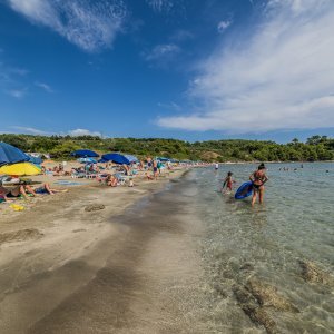 Plaža Vela Pržina na Korčuli