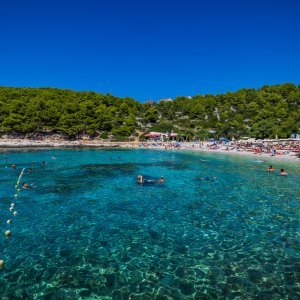 Uvala i otočić Pokonji Dol