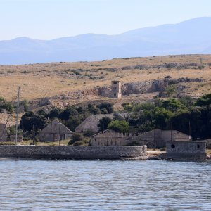 Goli otok