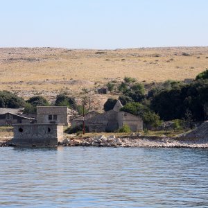 Goli otok