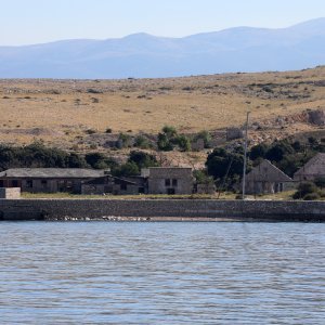 Goli otok