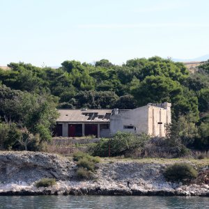 Goli otok