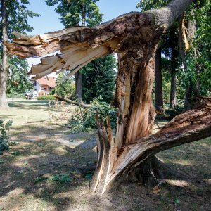 Oluja u Orahovici napravila manju štetu