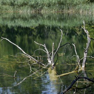 Plitvička jezera