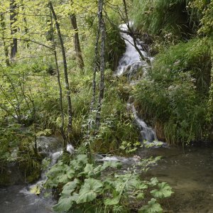 Plitvička jezera