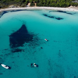 plaža Sakarun