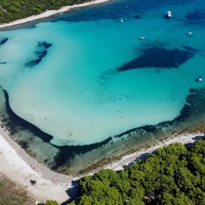 plaža Sakarun