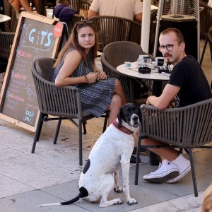 Subotnja špica u Zadru