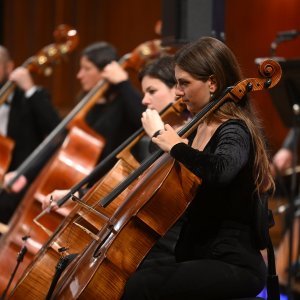 Svečani koncert u Lisinskom povodom 75. godišnjice osnivanja države Izrael