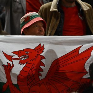 Navijači na utakmici Wales - Hrvatska