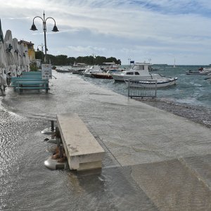 Poplavljena riva u Fažani