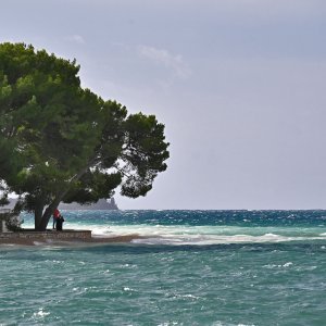 Poplavljena riva u Fažani