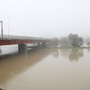 Sava se u Zagrebu izlila iz korita