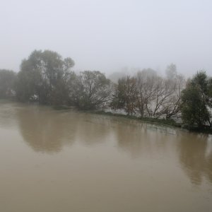 Sava se u Zagrebu izlila iz korita