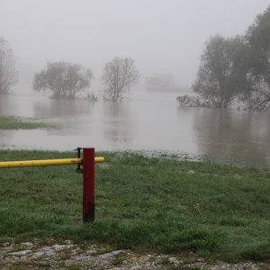 Sava se u Zagrebu izlila iz korita