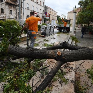 Šibenik: Olujno jugo srušilo stablo na betonski stup rasvjete koji se u potpunosti raspao