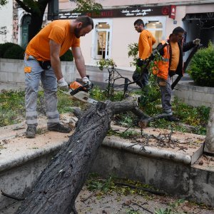 Šibenik: Olujno jugo srušilo stablo na betonski stup rasvjete koji se u potpunosti raspao