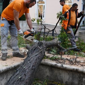 Šibenik: Olujno jugo srušilo stablo na betonski stup rasvjete koji se u potpunosti raspao