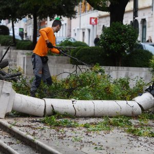 Šibenik: Olujno jugo srušilo stablo na betonski stup rasvjete koji se u potpunosti raspao