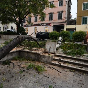 Šibenik: Olujno jugo srušilo stablo na betonski stup rasvjete koji se u potpunosti raspao