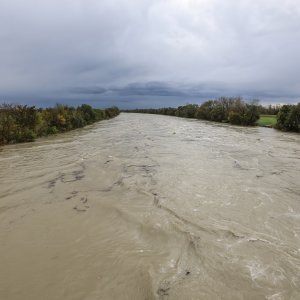 Zagreb: Nabujala Sava kod Podsusedskog mosta nosi naplavine