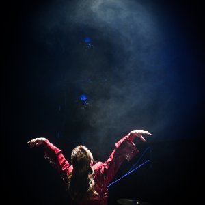 Koncert Vesne Pisarović