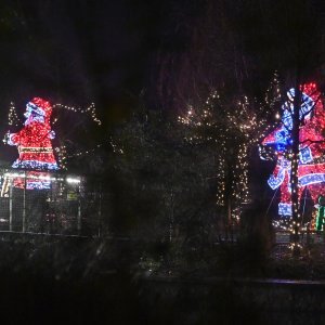 Zagrebački Zoološki vrt u adventskom ruhu