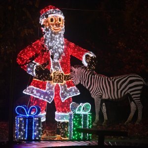 Zagrebački Zoološki vrt u adventskom ruhu