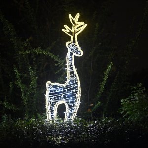 Zagrebački Zoološki vrt u adventskom ruhu