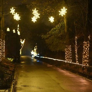 Zagrebački Zoološki vrt u adventskom ruhu