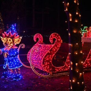 Zagrebački Zoološki vrt u adventskom ruhu