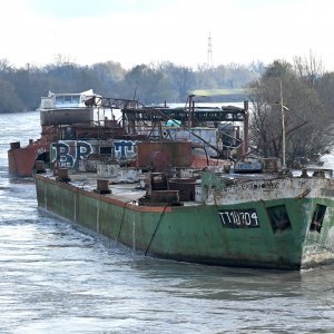 Sava se izlila iz korita