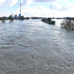 Sava se izlila iz korita