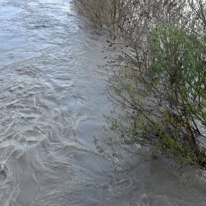 Sava se izlila iz korita