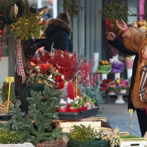 Borna Kotromanić na zagrebačkoj špici