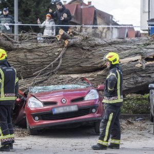 Vjetar srušio stablo u Zagrebu