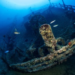 Scuba diving na Visu