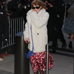 Anna Wintour